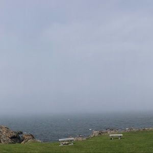 Meet your Posher, Amie